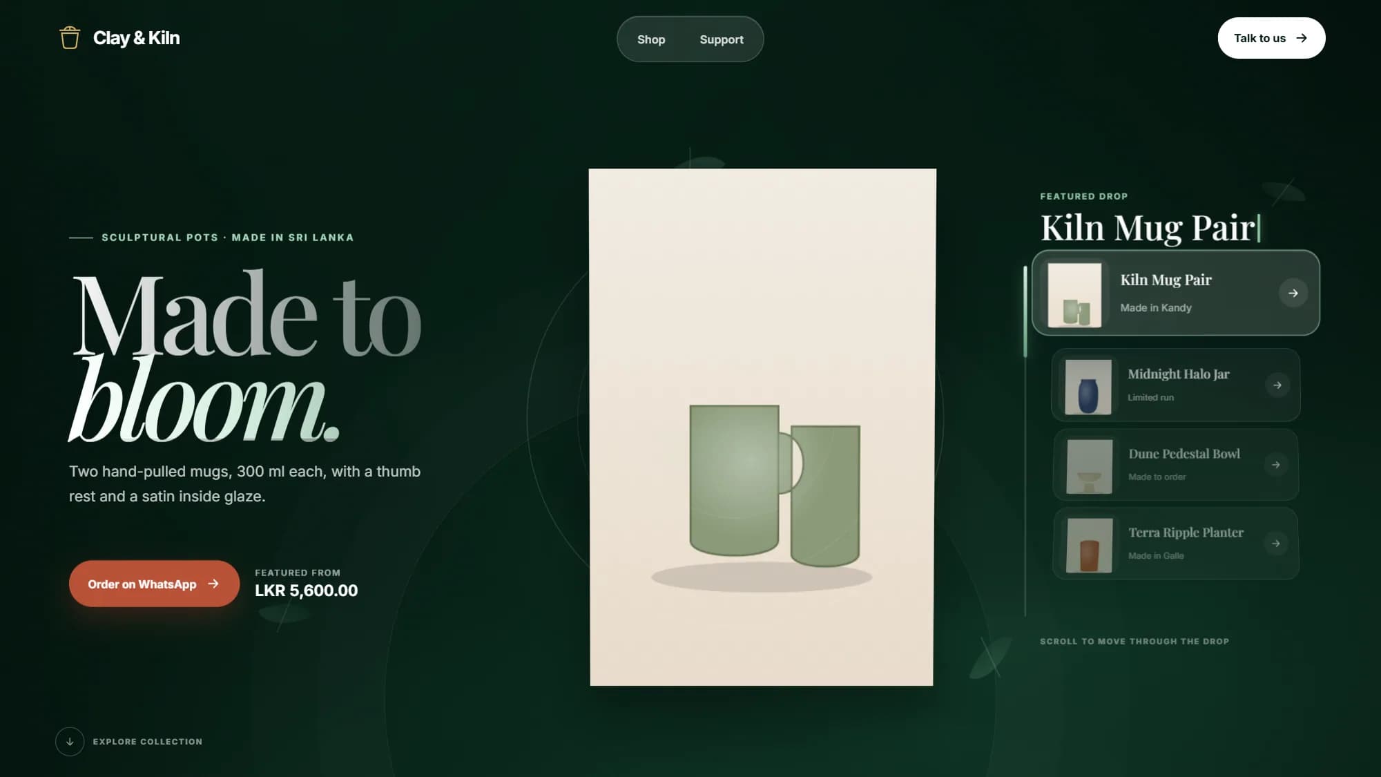 Zyvlon interface preview