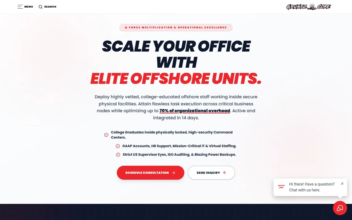 Business process outsourcing — A dedicated service page explains the outsourcing offer and provides a clear enquiry path. Captured from the local project preview.